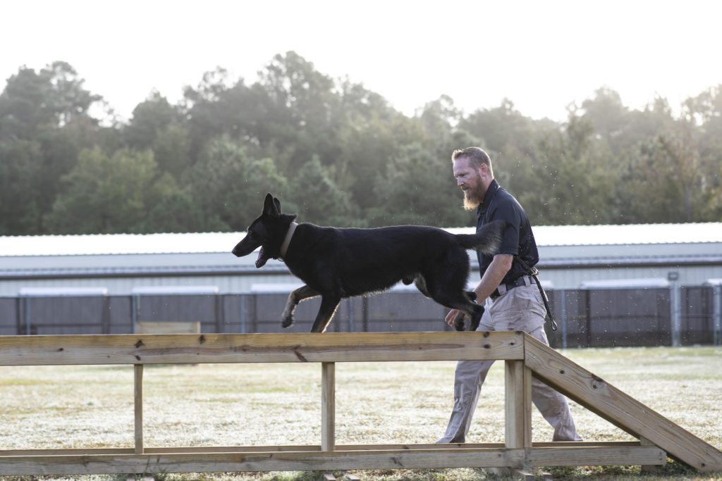 K9 training constellis